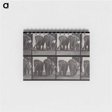 アートメモ帳-Elephant Walk
 - エドワード マイブリッジ Memo.