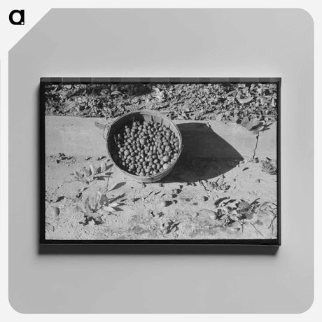 アートパネル-Apache Junction Figures
 - ラッセル リー Canvas.