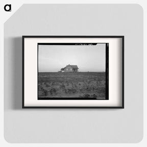 アートポスター-Cotton sharecropper farm, Texas - ドロテア ラング Poster.