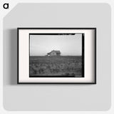 Cotton sharecropper farm, Texas - Dorothea Lange Poster.