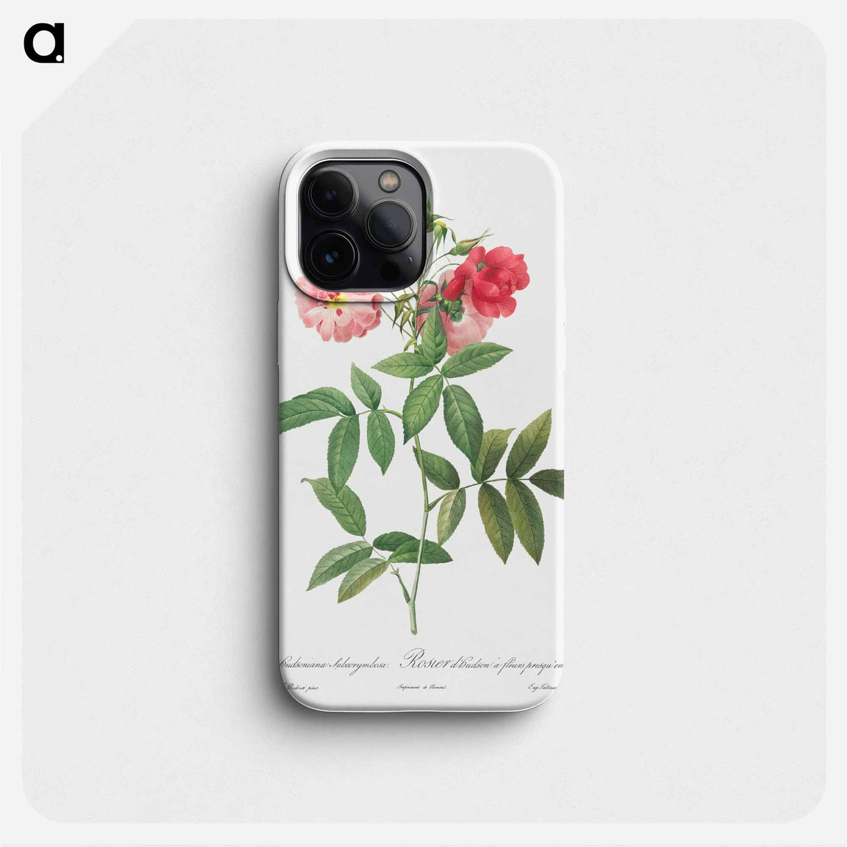 Subcorymbose Hudson Rose - Pierre Joseph Redouté Phone Case.