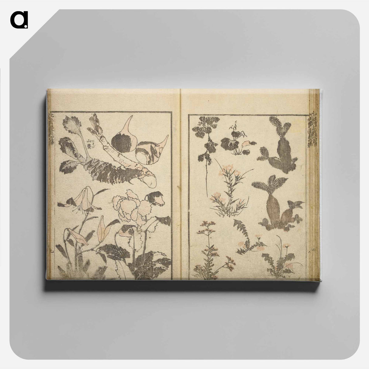 Random sketches by Hokusai volumes 1 to 11 - Katsushika Hokusai Canvas.