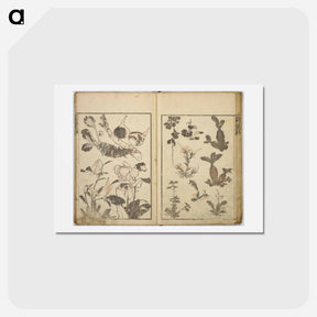 アートポストカード-Random sketches by Hokusai volumes 1 to 11 - 葛飾 北斎 Postcard.