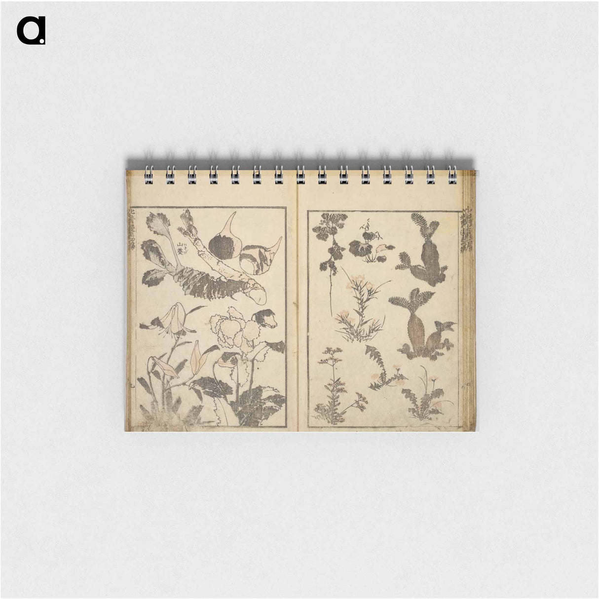 Random sketches by Hokusai volumes 1 to 11 - 葛飾 北斎 Memo.