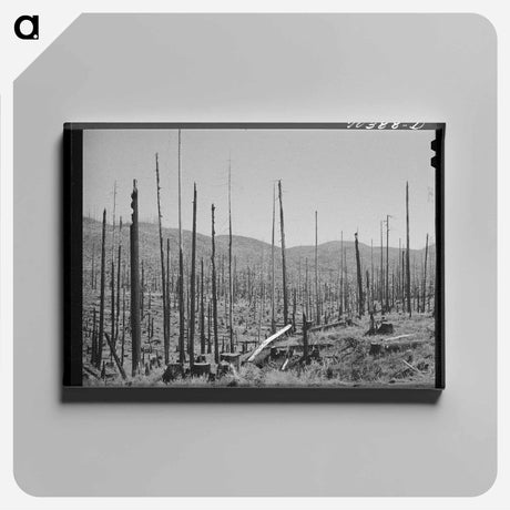 アートパネル-Malheur National Forest
 - ラッセル リー Canvas.