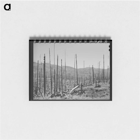 アートメモ帳-Malheur National Forest
 - ラッセル リー Memo.