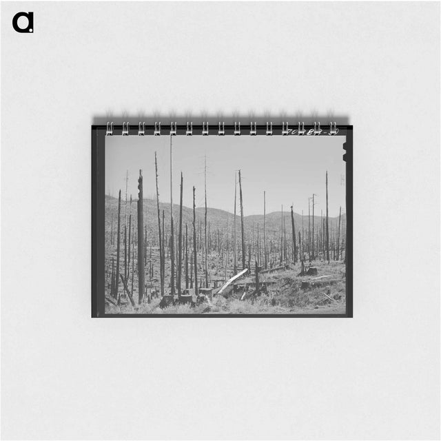 アートメモ帳-Malheur National Forest
 - ラッセル リー Memo.