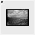 アートポストカード-Malheur National Forest
 - ラッセル リー Postcard.