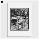 Young cherry picker, near Millville, New Jersey - Dorothea Lange Poster.