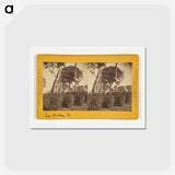 アートポストカード-Las Nubes, Matapala Tree
 - エドワード マイブリッジ Postcard.