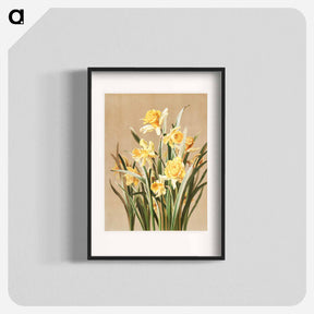 アートポスター-Daffodils
 - ボストン公共図書館 Poster.