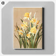 アートパネル-Daffodils
 - ボストン公共図書館 Canvas.