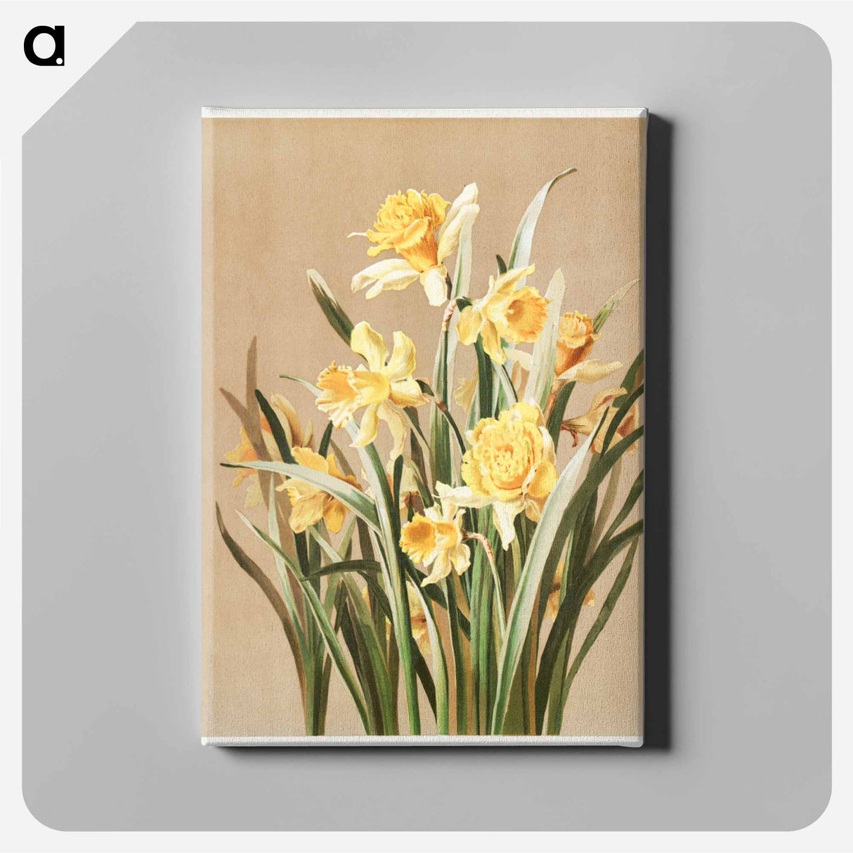 アートパネル-Daffodils
 - ボストン公共図書館 Canvas.