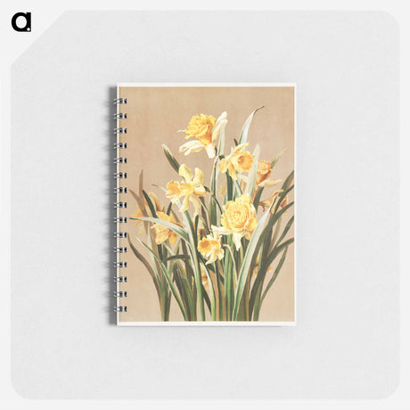 アートメモ帳-Daffodils
 - ボストン公共図書館 Memo.