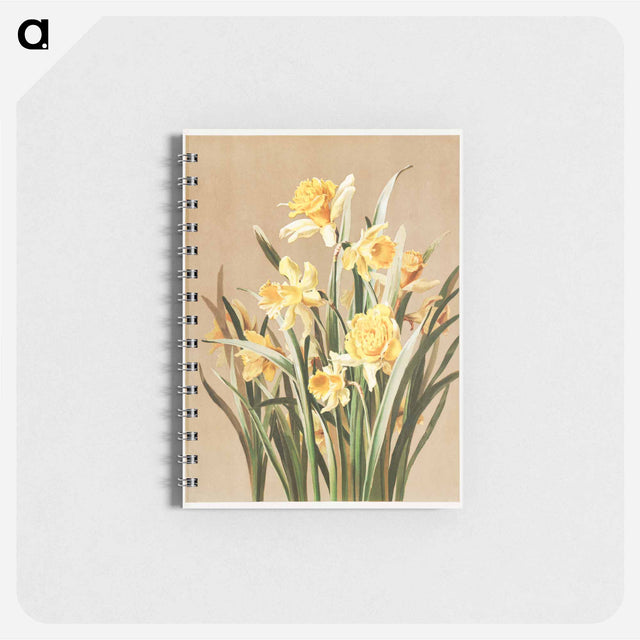 アートメモ帳-Daffodils
 - ボストン公共図書館 Memo.