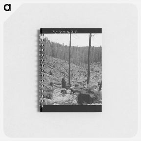 アートメモ帳-Logged over land along U.S. 99. Southern Oregon. - ドロテア ラング Memo.