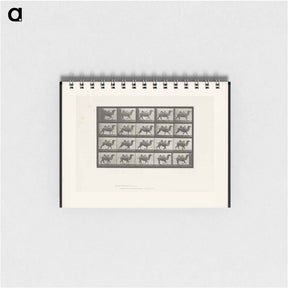 アートメモ帳-Running Bactrian Camel
 - エドワード マイブリッジ Memo.