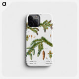 Black spruce, Abies nigra and Silver fir, Abies alba - ピエール ジョゼフ ルドゥーテ Phone Case.