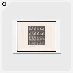 アートポストカード-Woman with Bucket
 - エドワード マイブリッジ Postcard.