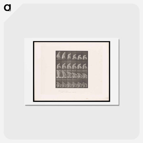 アートポストカード-Woman with Bucket
 - エドワード マイブリッジ Postcard.