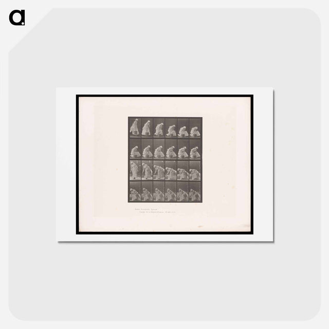 アートポストカード-Woman with Bucket
 - エドワード マイブリッジ Postcard.