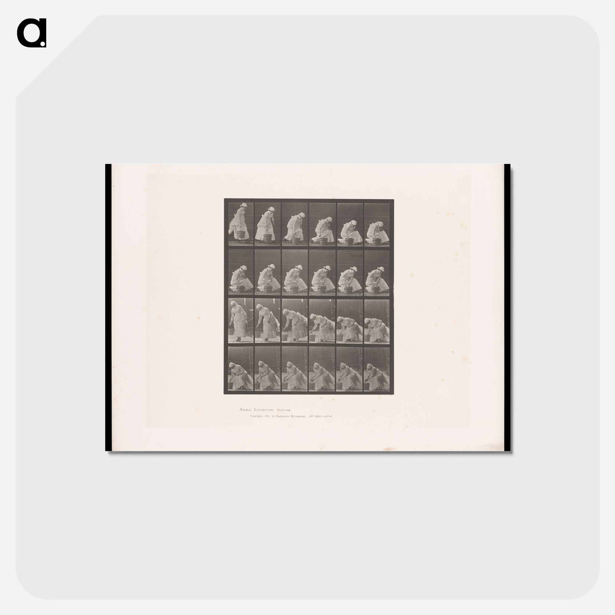 アートポストカード-Woman with Bucket
 - エドワード マイブリッジ Postcard.