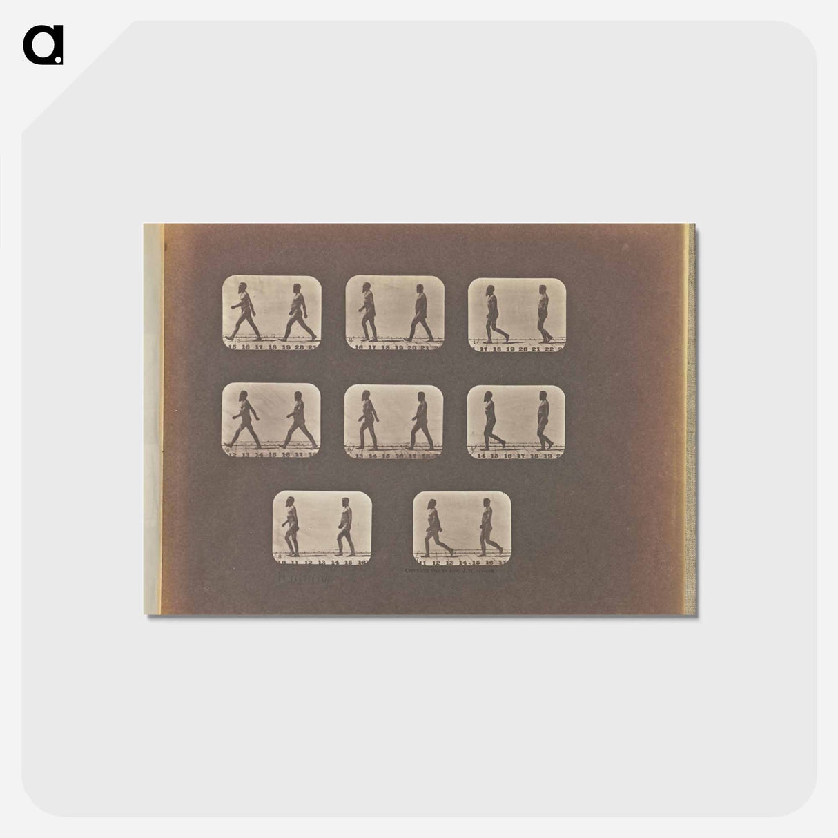 アートポストカード-Walking
 - エドワード マイブリッジ Postcard.