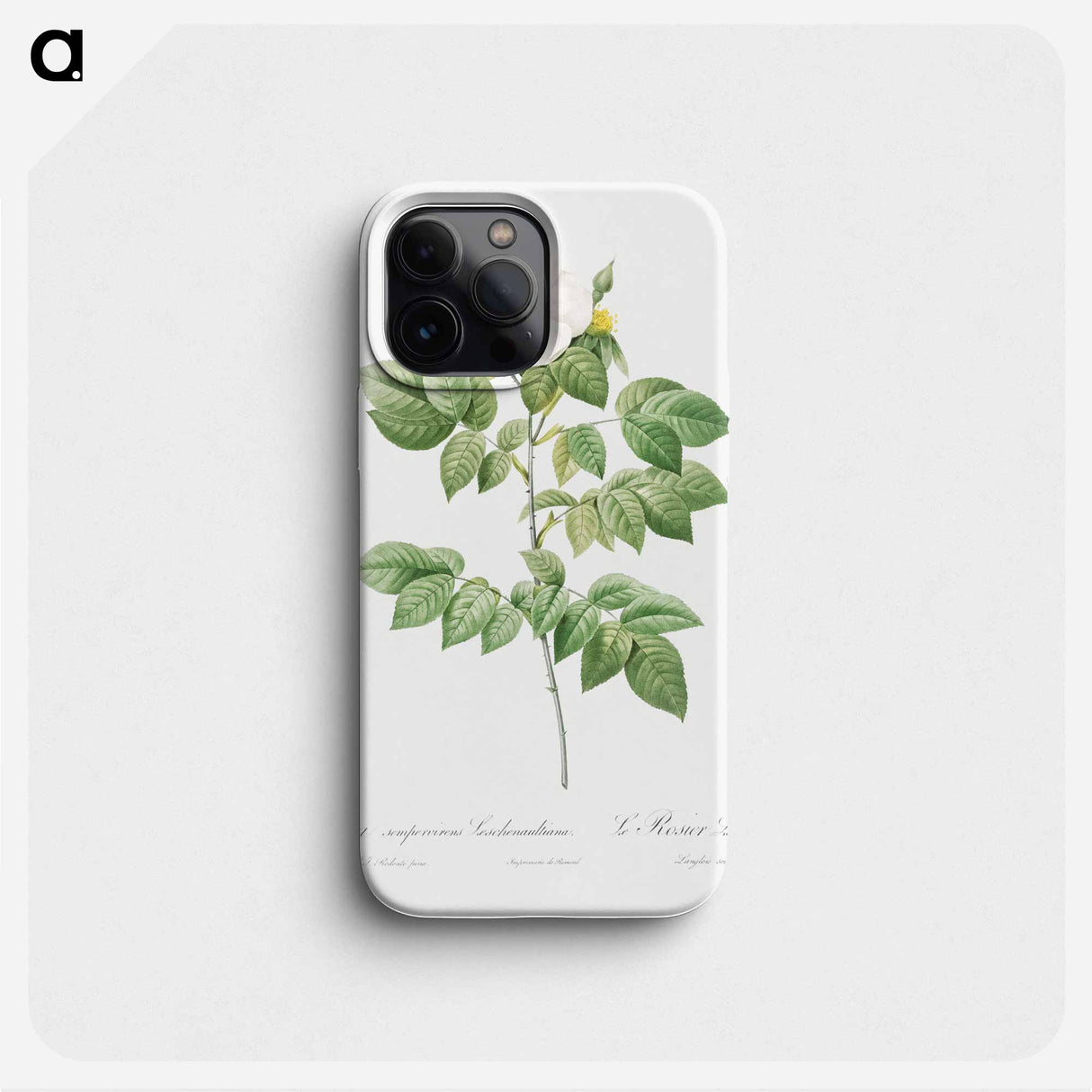 Leschenault's Rose - ピエール ジョゼフ ルドゥーテ Phone Case.
