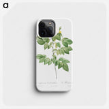 Leschenault's Rose - ピエール ジョゼフ ルドゥーテ Phone Case.
