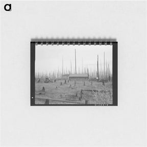 アートメモ帳-Untitled photo - ドロテア ラング Memo.