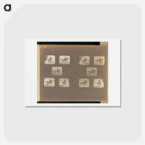 アートポストカード-Running
 - エドワード マイブリッジ Postcard.