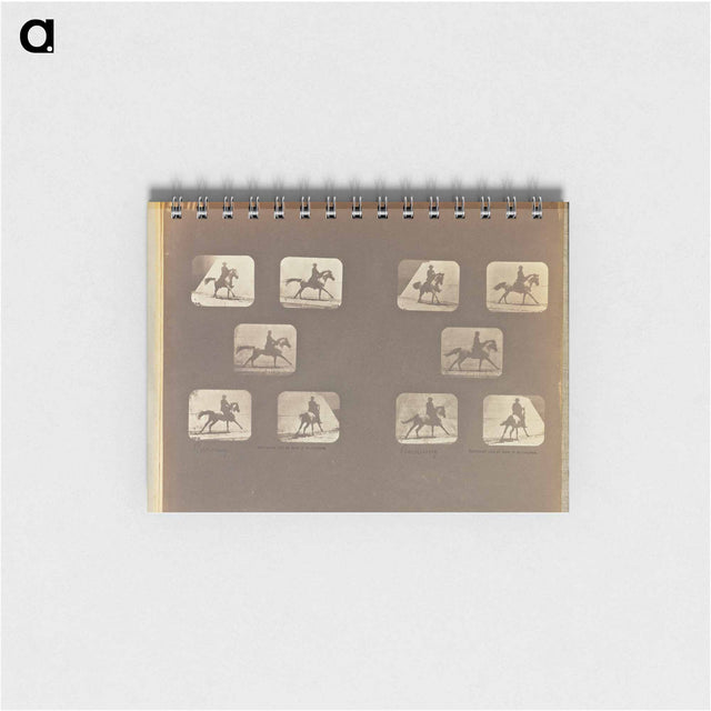 アートメモ帳-Running
 - エドワード マイブリッジ Memo.