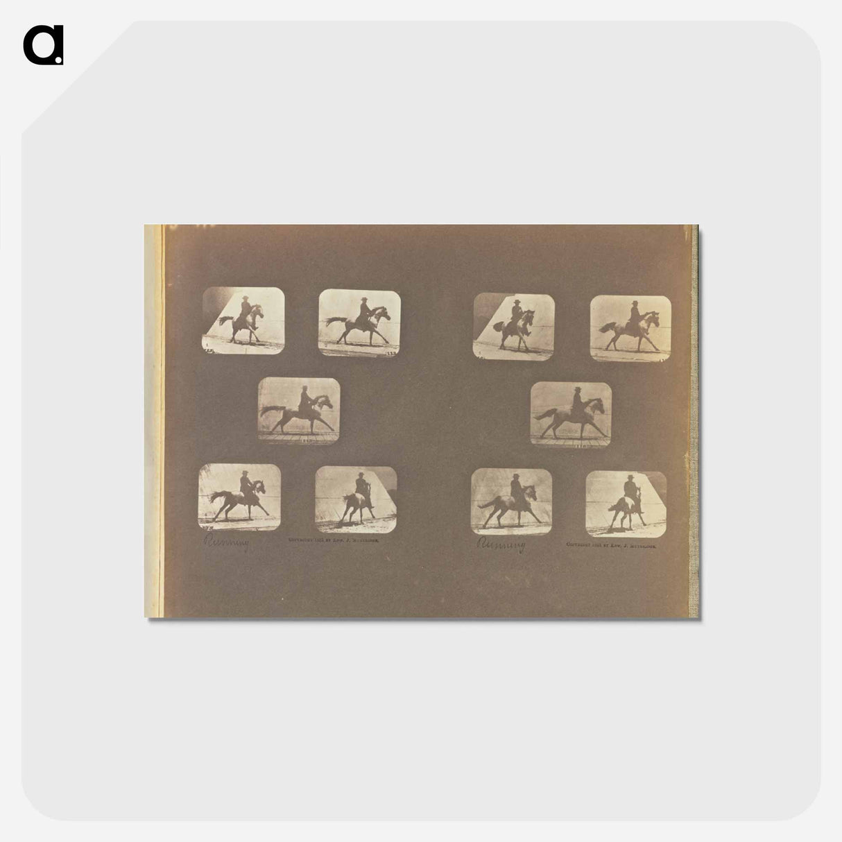 アートポストカード-Running
 - エドワード マイブリッジ Postcard.