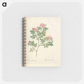 アートメモ帳-Rose illustration - ピエール ジョゼフ ルドゥーテ Memo.