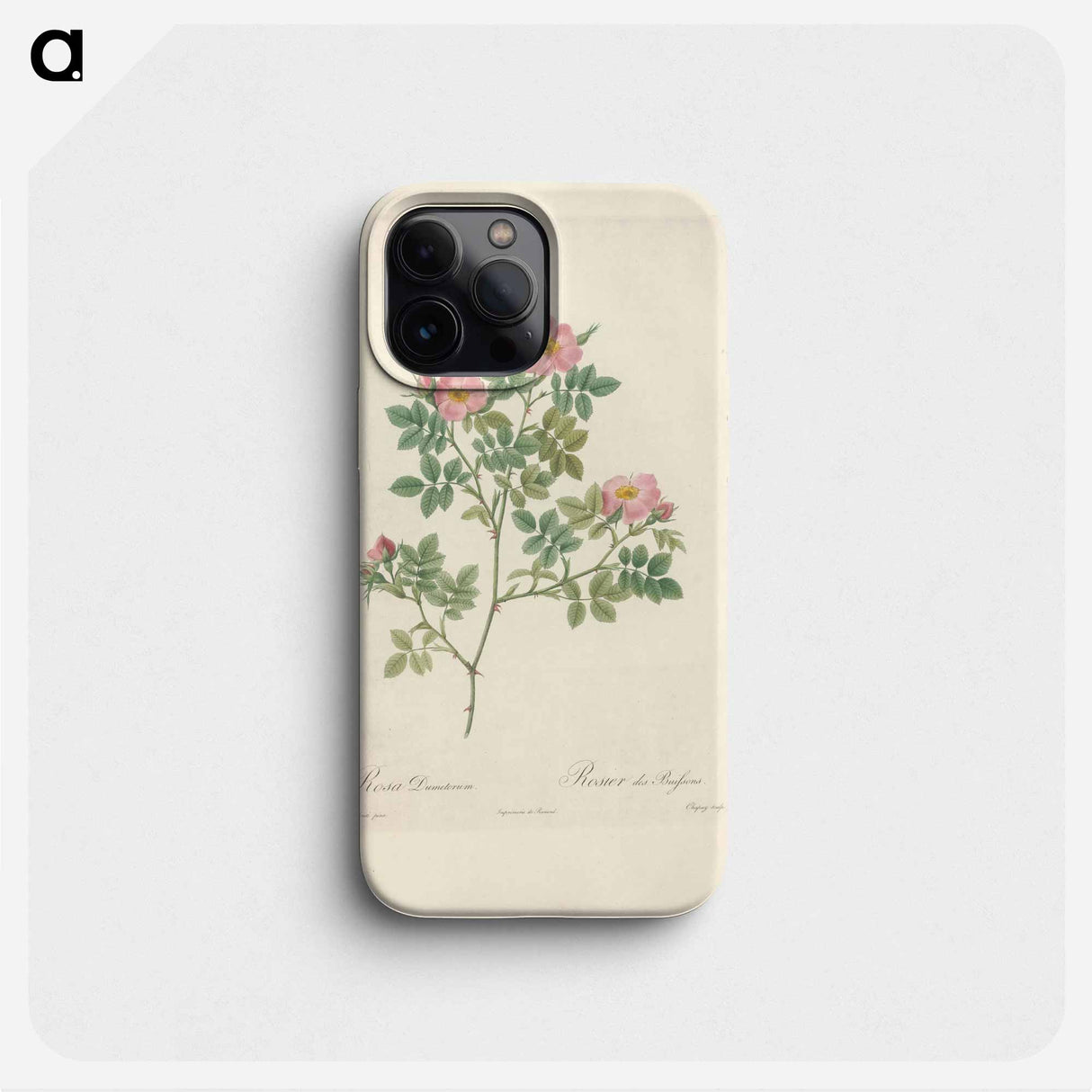 Rose illustration - ピエール ジョゼフ ルドゥーテ Phone Case.