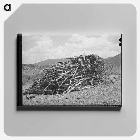 アートパネル-Telluride Bellows
 - ラッセル リー Canvas.