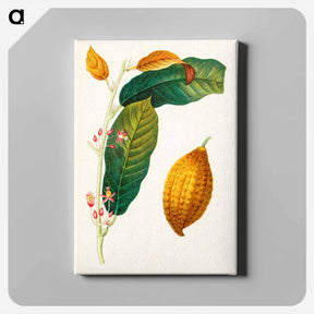 アートパネル-Theobroma Cacao
 - ボストン公共図書館 Canvas.