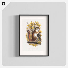 アートポスター-Red Squirrel
 - ボストン公共図書館 Poster.