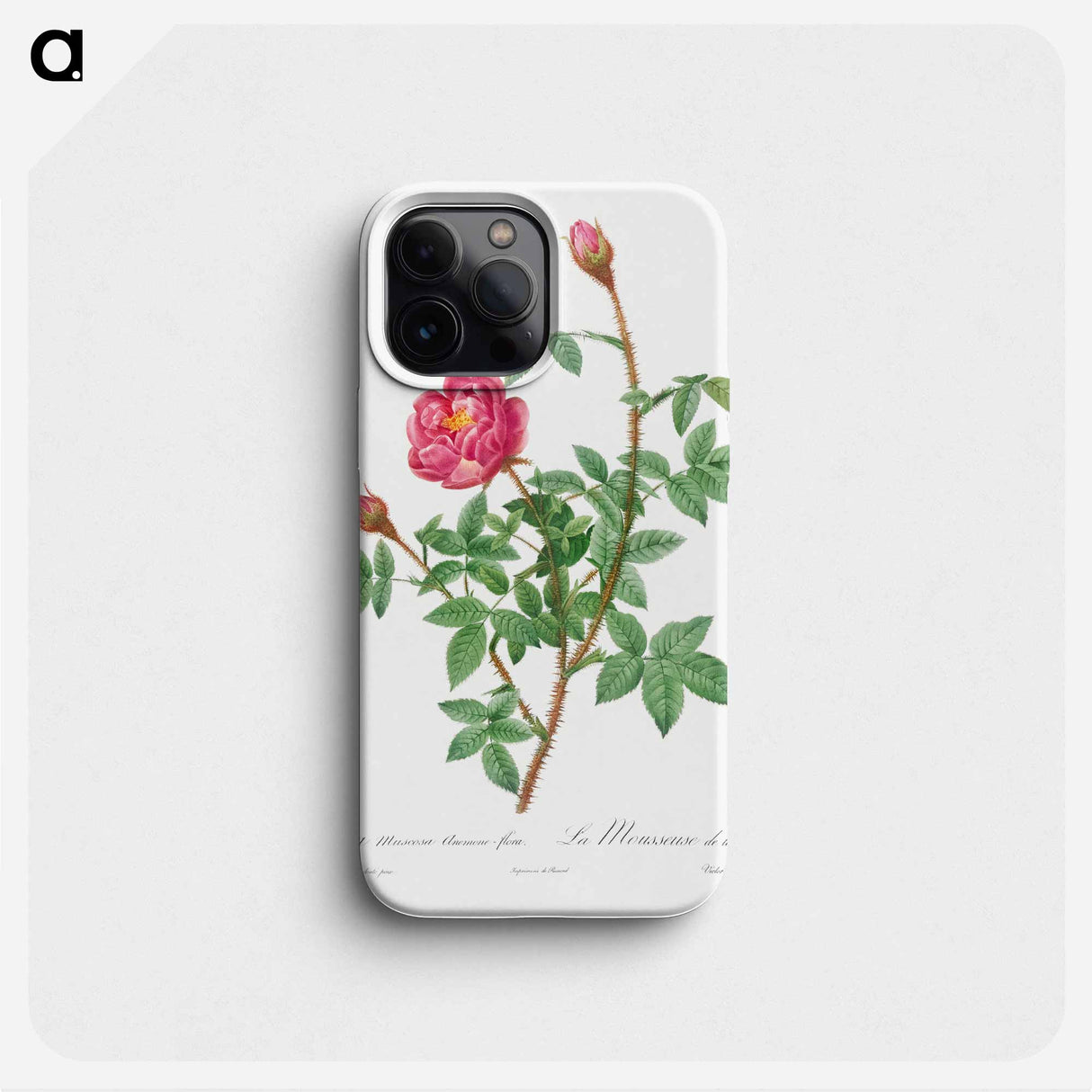 Anemone-Flowered Rose Muscosa - ピエール ジョゼフ ルドゥーテ Phone Case.