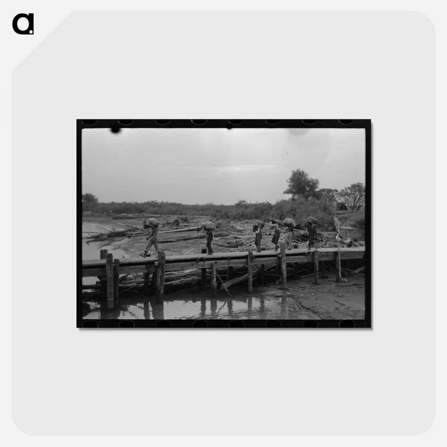 アートポストカード-Unloading Oysters, New Orleans
 - ラッセル リー Postcard.