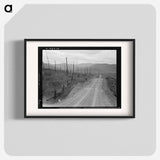 Cut-over area. Bonner County, Idaho. - Dorothea Lange Poster.