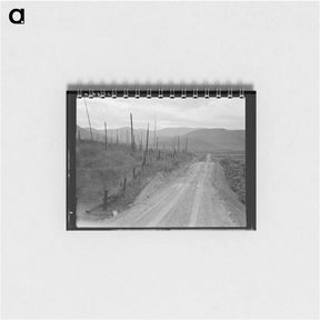 アートメモ帳-Cut-over area. Bonner County, Idaho. - ドロテア ラング Memo.