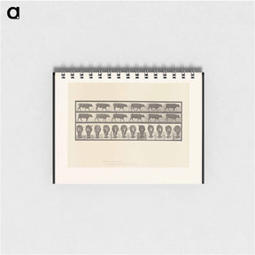 アートメモ帳-Ox Walking
 - エドワード マイブリッジ Memo.