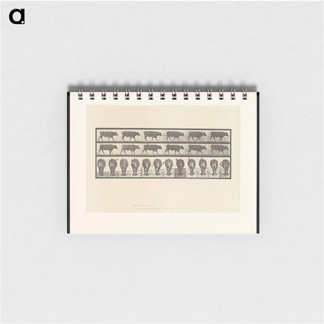 アートメモ帳-Ox Walking
 - エドワード マイブリッジ Memo.