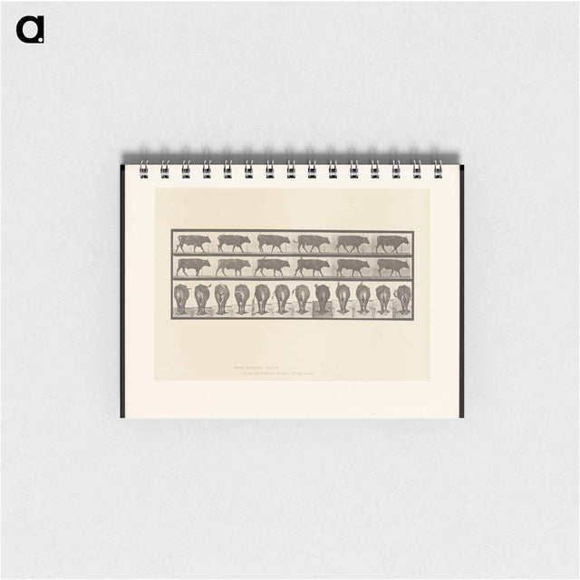 アートメモ帳-Ox Walking
 - エドワード マイブリッジ Memo.