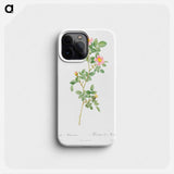 Montezuma Rose - Pierre Joseph Redouté Phone Case.