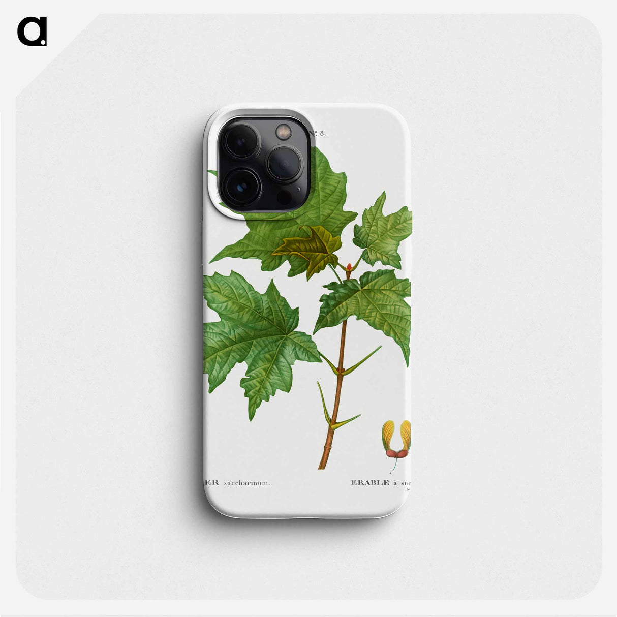 Silver maple, Acer saccharinum - Pierre Joseph Redouté Phone Case.