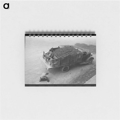 アートメモ帳-Corn Near Alfalfa Field
 - ラッセル リー Memo.