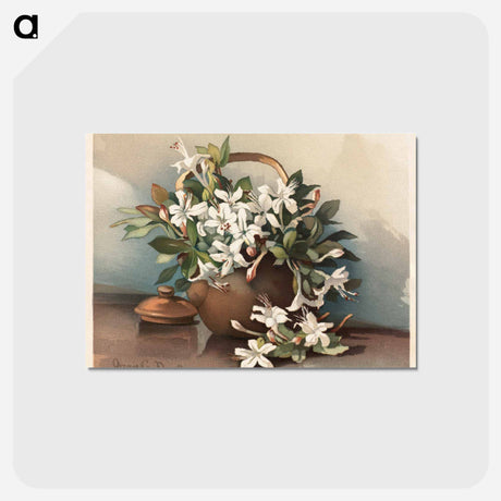 アートポストカード-Wild Azaleas and Wild Roses No 3
 - ボストン公共図書館 Postcard.