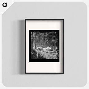 アートポスター-Oregon, Marion County, near West Stayton - ドロテア ラング Poster.
